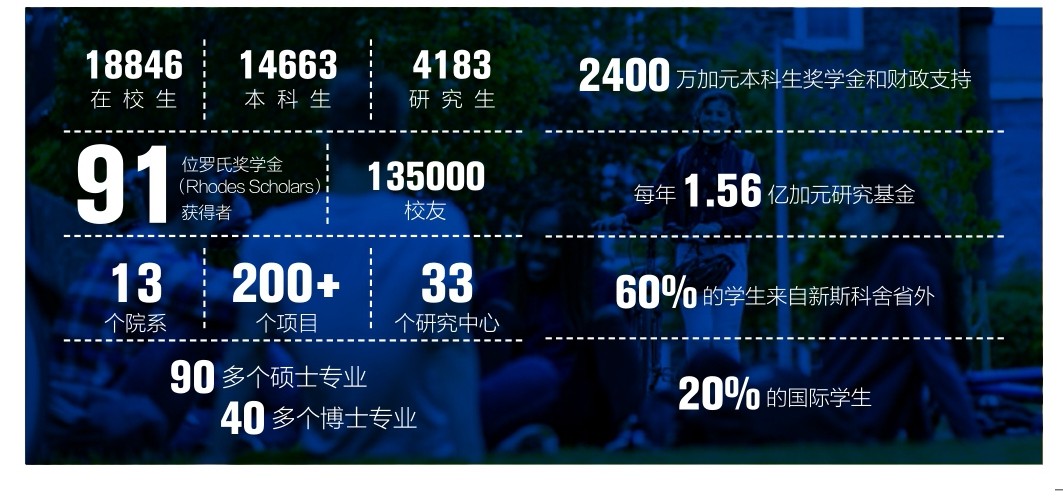 必赢网络游戏平台