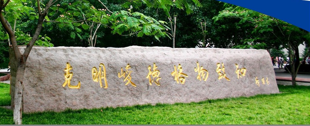 必赢网络游戏平台