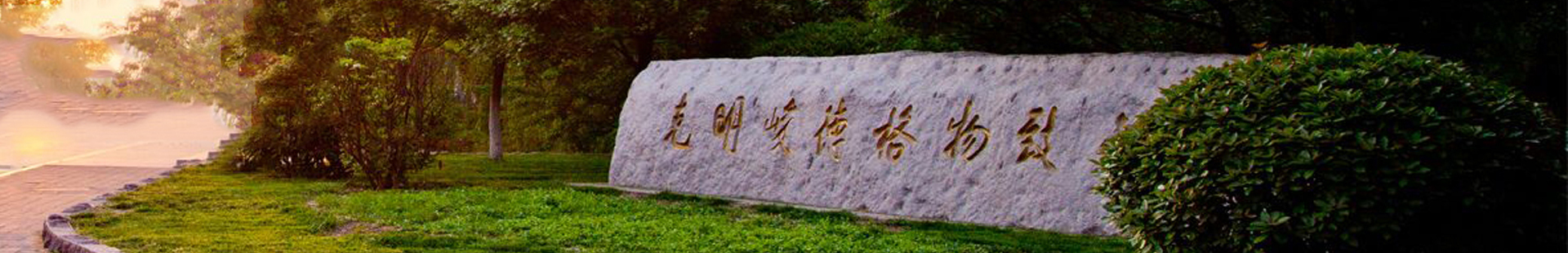 必赢网络游戏平台